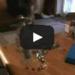 SouthOrd 10 Pin Tubular Lock Pick + Decoder key - Image 7